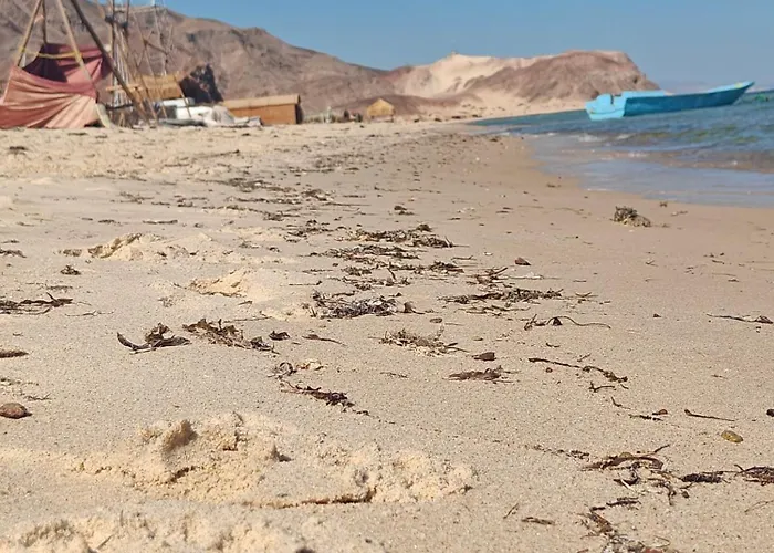 Baywatch Camp Nuweiba`