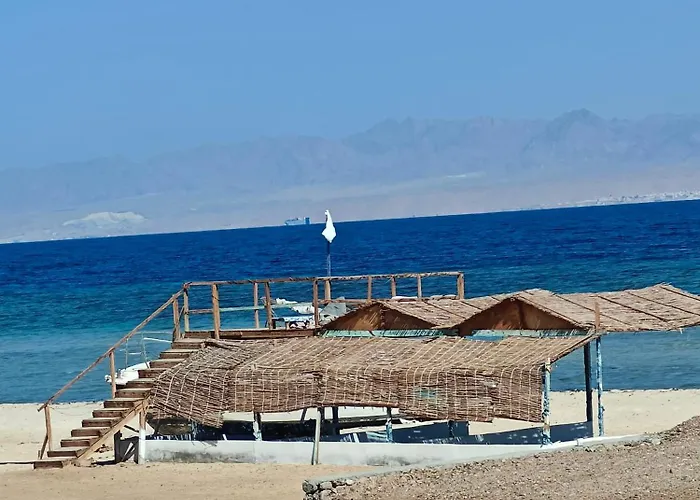 Baywatch Camp